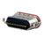 UJ20-C-H-MSMT-16B-P16-TR-67 Alternate View