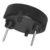 CPT-1667-85T - Alternate View