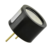 CPE-244 Alternate View