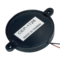 CEP-1126