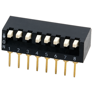 DS07-254-1L-08BK